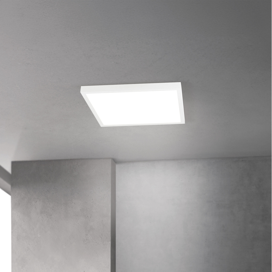 LED Dæmpbar loftlampe DISC LED/30W/230V 2700/3000/4000K 39x39 cm hvid