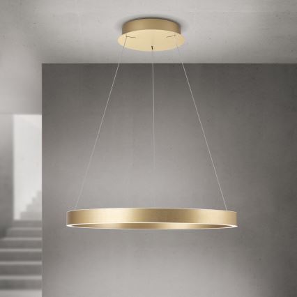 Orion - LED-dæmpbar pendel på wire KOLK LED/60W/230V 2700/3000/4000K Ø 60 cm guld