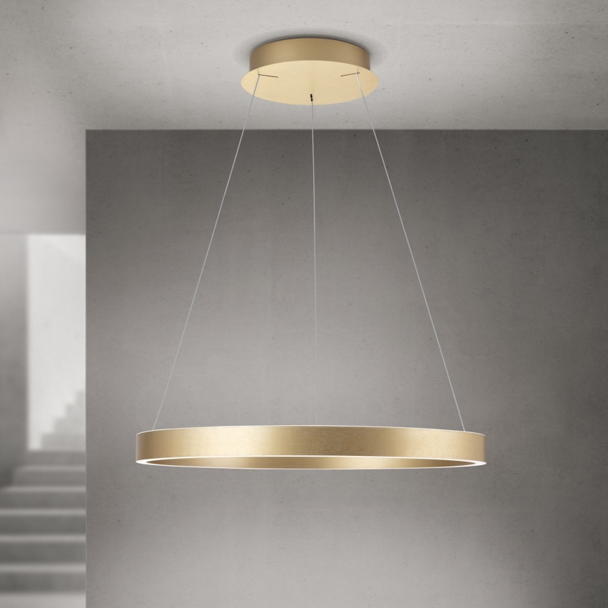 Orion - LED-dæmpbar pendel på wire KOLK LED/60W/230V 2700/3000/4000K Ø 60 cm guld