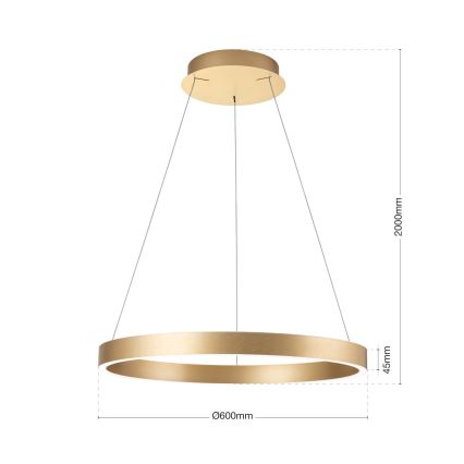 Orion - LED-dæmpbar pendel på wire KOLK LED/60W/230V 2700/3000/4000K Ø 60 cm guld