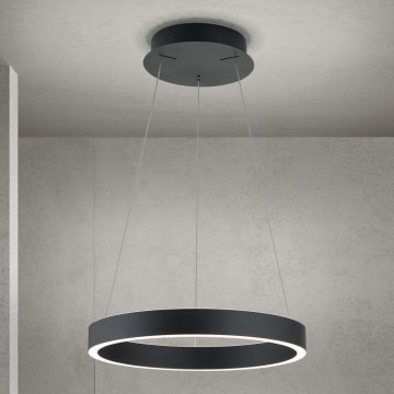 Orion - LED dæmpbar pendel på kabel KOLK LED/40W/230V 2700/3000/4000K Ø 40 cm sort