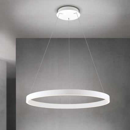 Dæmpbar LED-pendel på wire KOLK LED/80W/230V 2700/3000/4000K Ø 80 cm, hvid