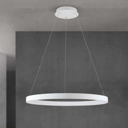 Dæmpbar LED-pendel på wire KOLK LED/80W/230V 2700/3000/4000K Ø 80 cm, hvid