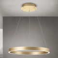 Orion - LED-dæmpbar pendel på wire KOLK LED/60W/230V 2700/3000/4000K Ø 60 cm guld