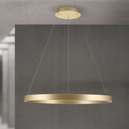 Orion - dæmpbar LED-pendel på wire KOLK LED/80W/230V 2700/3000/4000K Ø 80 cm, guld