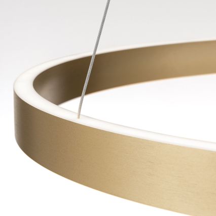 Orion - dæmpbar LED-pendel på wire KOLK LED/80W/230V 2700/3000/4000K Ø 80 cm, guld
