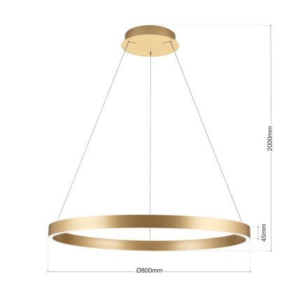 Orion - dæmpbar LED-pendel på wire KOLK LED/80W/230V 2700/3000/4000K Ø 80 cm, guld
