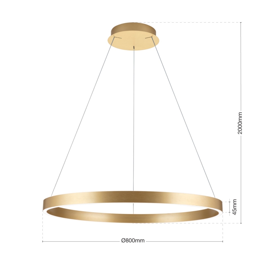 Orion - dæmpbar LED-pendel på wire KOLK LED/80W/230V 2700/3000/4000K Ø 80 cm, guld