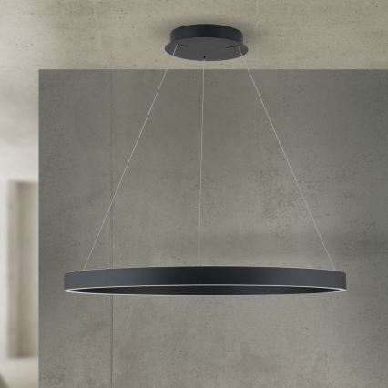 LED dæmpbar pendel på kabel KOLK LED/80W/230V 2700/3000/4000K diameter 80 cm sort