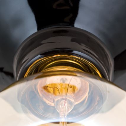 Loftlampe FROST 1xE27/60W/230V sort