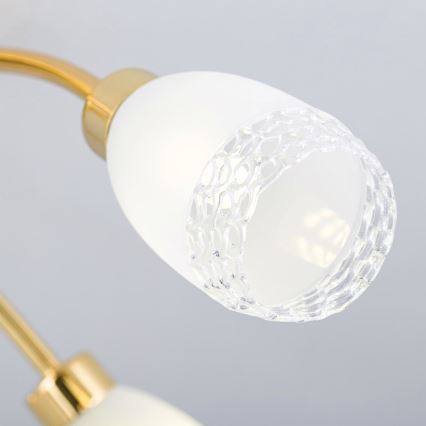 Overflademonteret lysekrone CARLA 5xG9/28W/230V, guld