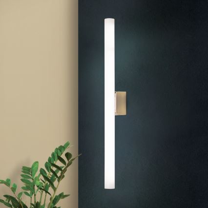 LED væglampe VISAGIST 1xS14d/8W/230V messing