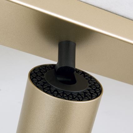 Spotlampe SEAN 6xGU10/13W/230V guld