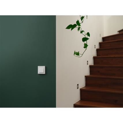 Osram - Afbryder med 2 knapper SMART+ MATTER 230V Wi-Fi