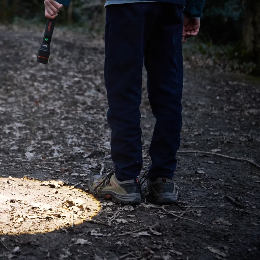 Osram - LED Dæmpbar genopladelig lommelygte LEDINSPECT PRO TORCH 1200 LED/13W/3,6V 4000 mAh IP44