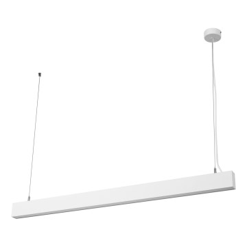 Osram - Dæmpbar LED-pendel på wire OFFICE LINE LED/42W/230V 4000K 112,6 cm hvid