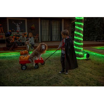 Osram - LED RGB dæmpbar udendørs LED-strip FLEX 20m LED/135W/230V IP65 + fjernbetjening