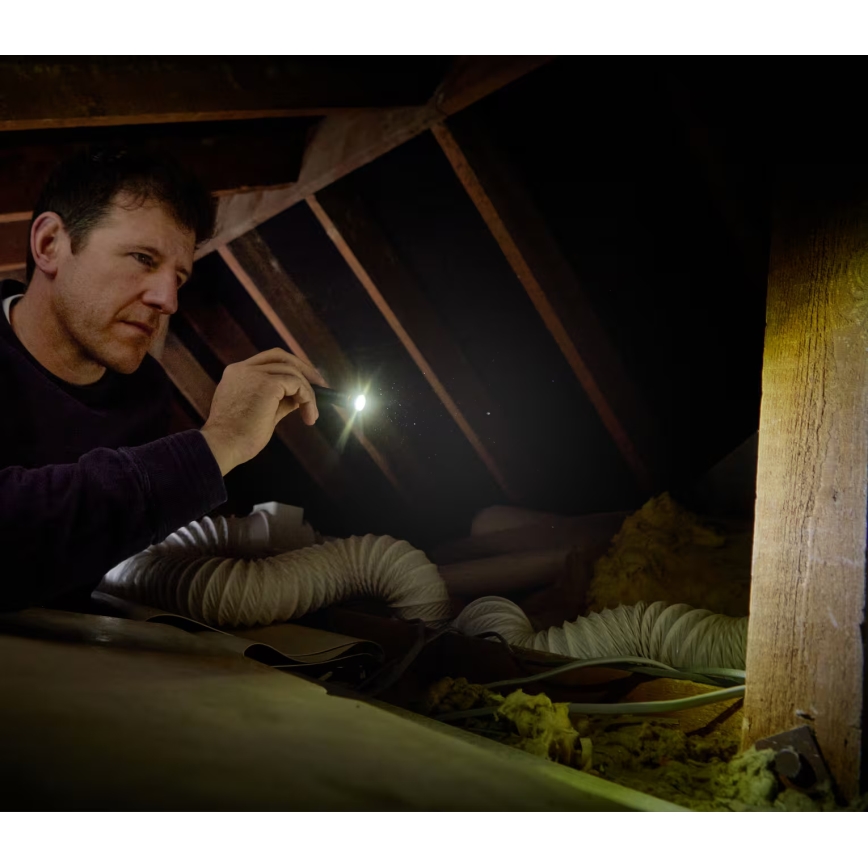 Osram - Dæmpbar LED-lommelygte LEDINSPECT TORCH 250 ESSENTIAL LED/2W/2xAAA IP44