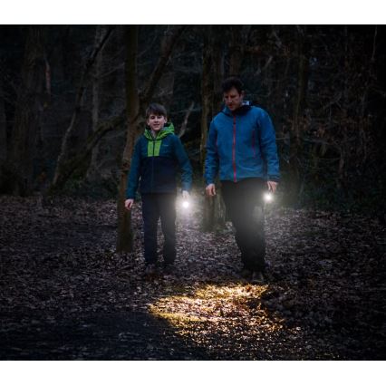 Osram - Dæmpbar LED-lommelygte LEDINSPECT TORCH 350 ESSENTIAL LED/4W/2xAAA IP44