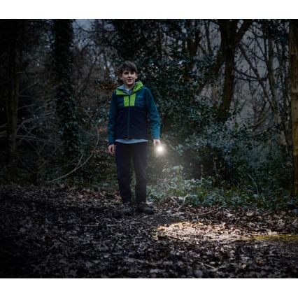 Osram - Dæmpbar LED-lommelygte LEDINSPECT TORCH 350 ESSENTIAL LED/4W/2xAAA IP44