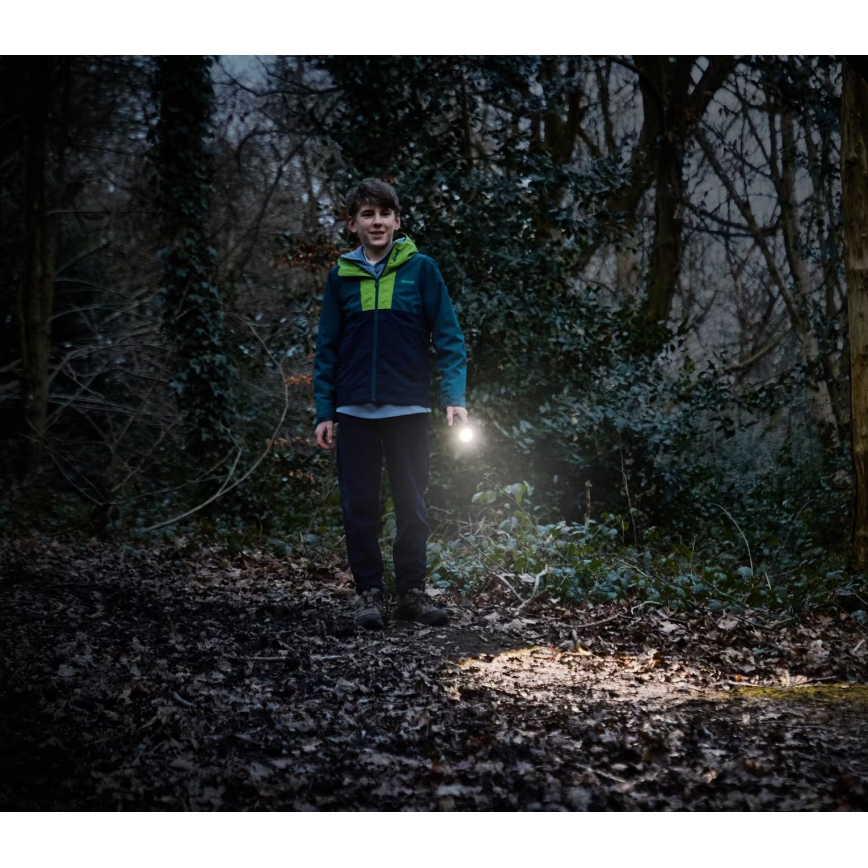 Osram - Dæmpbar LED-lommelygte LEDINSPECT TORCH 350 ESSENTIAL LED/4W/2xAAA IP44