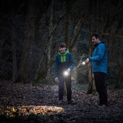 Osram - Dæmpbar LED-lommelygte LEDINSPECT TORCH 450 ESSENTIAL LED/6W/3xAAA IP44