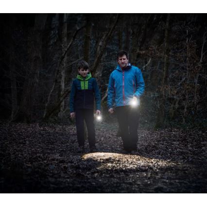 Osram - Dæmpbar LED-lommelygte LEDINSPECT TORCH 450 ESSENTIAL LED/6W/3xAAA IP44