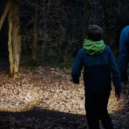 Osram - Dæmpbar LED-lommelygte LEDINSPECT TORCH 450 ESSENTIAL LED/6W/3xAAA IP44