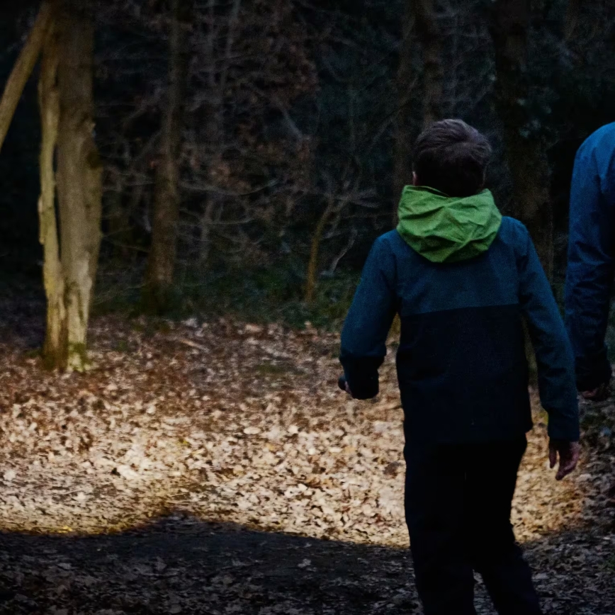 Osram - Dæmpbar LED-lommelygte LEDINSPECT TORCH 450 ESSENTIAL LED/6W/3xAAA IP44