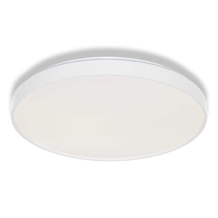 Osram - LED-loftlampe CEILING LUXO LED/36W/230V Ø 49 cm hvid