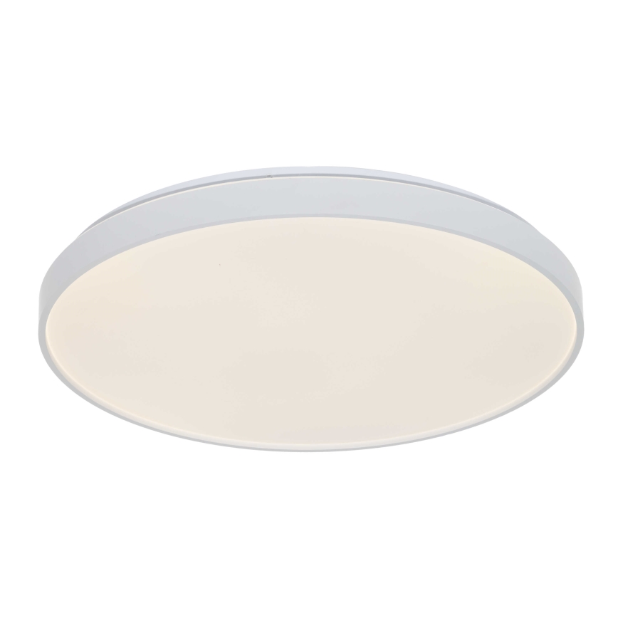 Osram - LED loftlampe CEILING LUXO LED/60 W/230 V Ø 56 cm hvid
