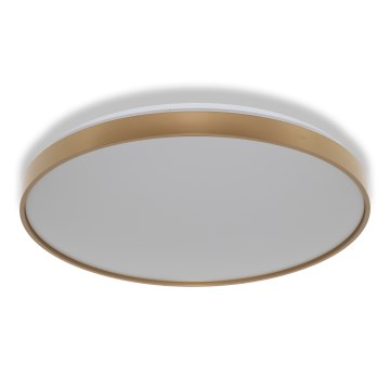 Osram - LED-loftlampe CEILING LUXO LED/60W/230V Ø 56 cm guldfarvet