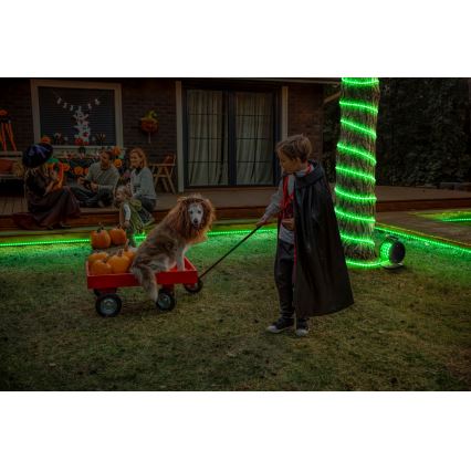 Osram - LED RGB dæmpbar udendørs LED-lysbånd FLEX 20m LED/135W/230V IP65 + fjernbetjening
