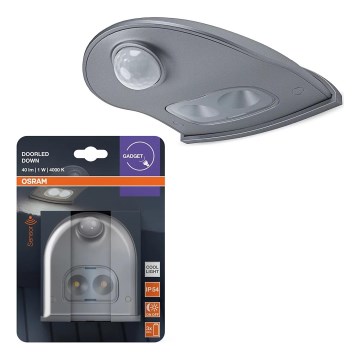 Osram - LED udendørs væglampe med sensor DOORLED LED/0,5W/3xAA IP54 sølvfarvet