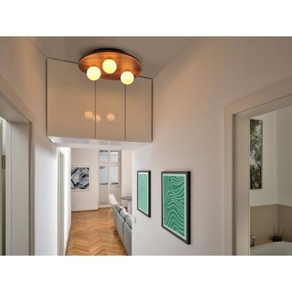 Osram - Loftlampe ACACIA NEST 3xG9/5W/230V akacietræ