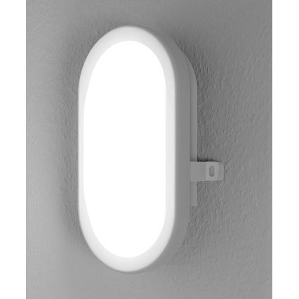 Osram - Udendørs LED væglampe BULKHEAD 1xLED/11W/230V IP54