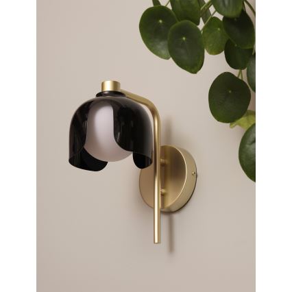Osram - Væglampe DECOR COROLLE 1xG9/20W/230V sort/guld