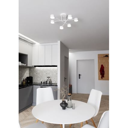 Overflademonteret loftlampe HALO 6xGX53/10W/230V, hvid