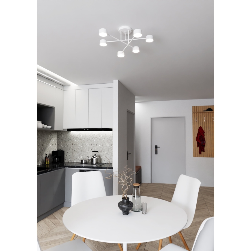 Overflademonteret loftlampe HALO 6xGX53/10W/230V, hvid