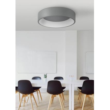 LED loftsbelysning KAJI LED/20W/230V