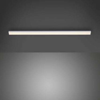 Paul Neuhaus 1125-21-A - LED Forlængelse under køkken cabinet lys AMON LED/6W/12/230V