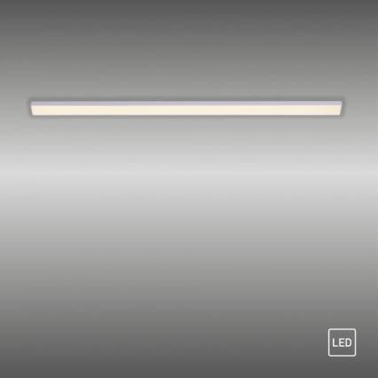 Paul Neuhaus 1125-21-A - LED Forlængelse under køkken cabinet lys AMON LED/6W/12/230V