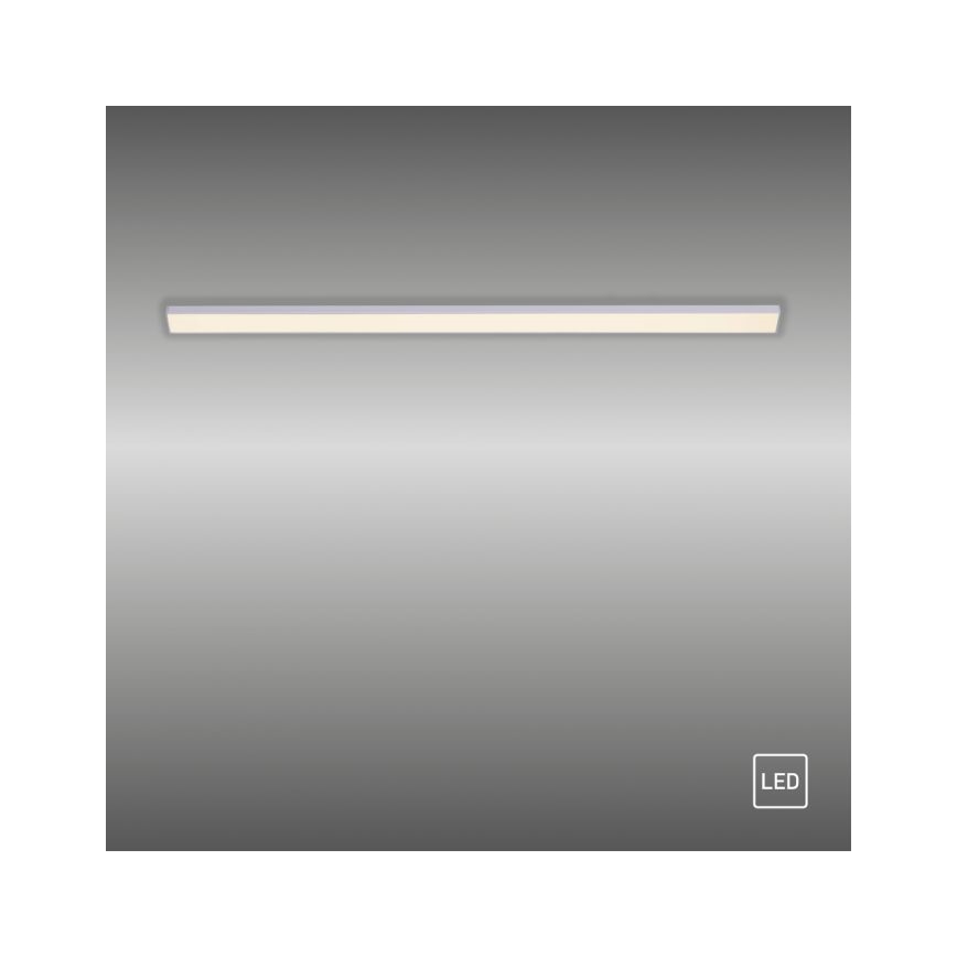 Paul Neuhaus 1125-21-A - LED Forlængelse under køkken cabinet lys AMON LED/6W/12/230V