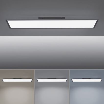 Paul Neuhaus 16533-16-O - LED panel overflademonteret dæmpbart FLAT LED/24W/230V 2700-5000K sort + fjernbetjening