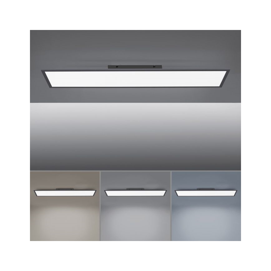 Paul Neuhaus 16533-16-O - LED panel overflademonteret dæmpbart FLAT LED/24W/230V 2700-5000K sort + fjernbetjening