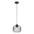 Paul Neuhaus 2005-25 - Pendel BOLETUS 1xE27/10W/230V diameter 23,5 cm grå