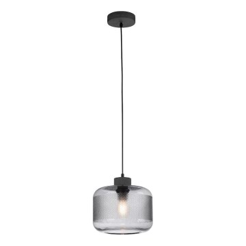 Paul Neuhaus 2005-25 - Pendel BOLETUS 1xE27/10W/230V diameter 23,5 cm grå