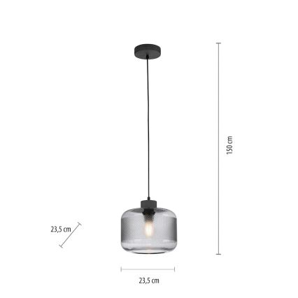 Paul Neuhaus 2005-25 - Pendel BOLETUS 1xE27/10W/230V diameter 23,5 cm grå