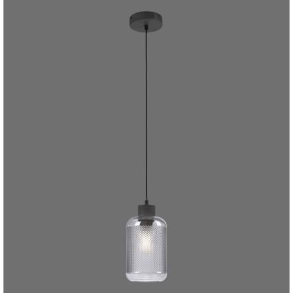 Paul Neuhaus 2006-25 - Pendel BOLETUS 1xE27/10W/230V diameter 14 cm grå