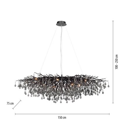 Paul Neuhaus 2031-18 - ICICLE lysekrone på kabel 15 x G9/40 W/230 V 75 x 150 cm sort
